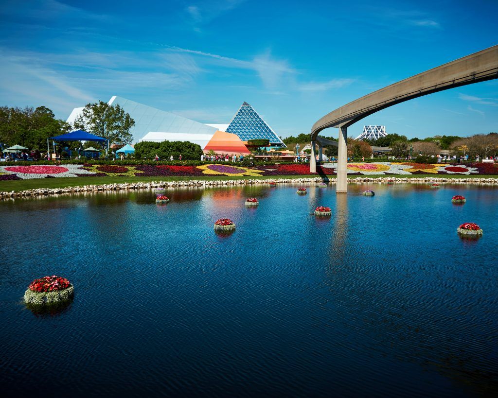 Disney World