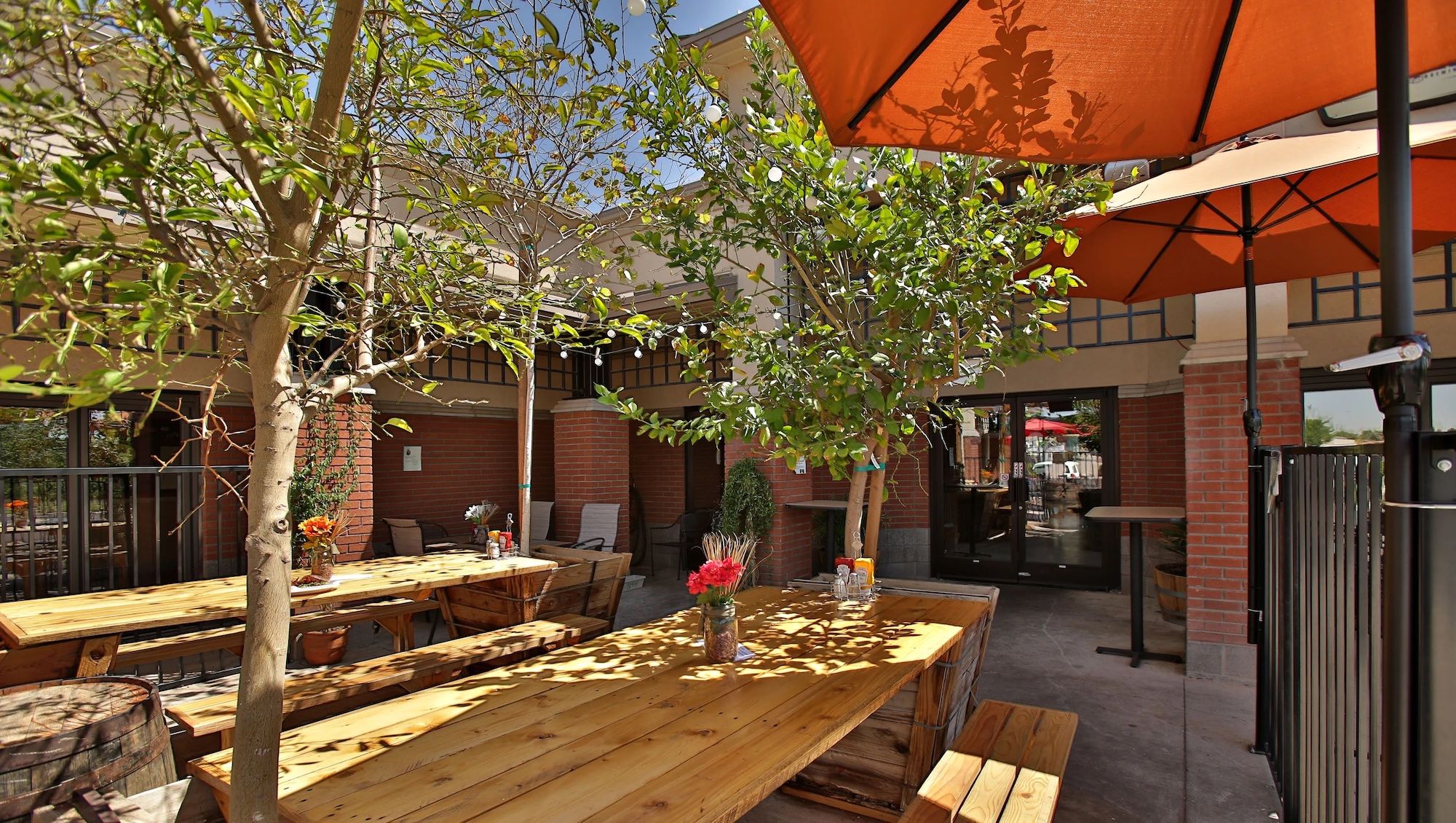 Arizona Wilderness Brewing Co.