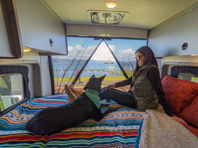 Anna and dog in campervan rental