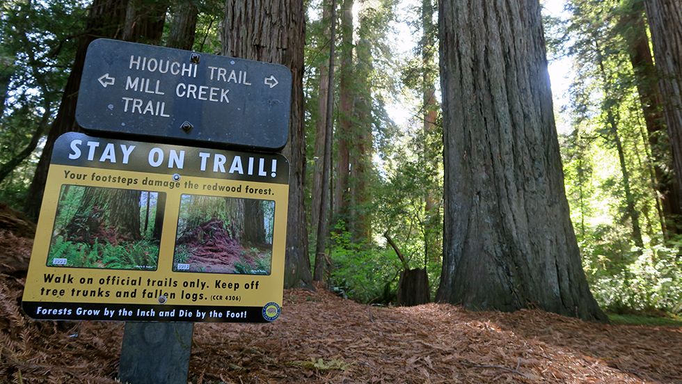 Stray on Trail Sign National Park