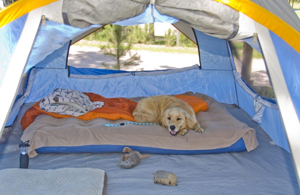 Photo Tripping America - Camping Gear - Outdoorsy