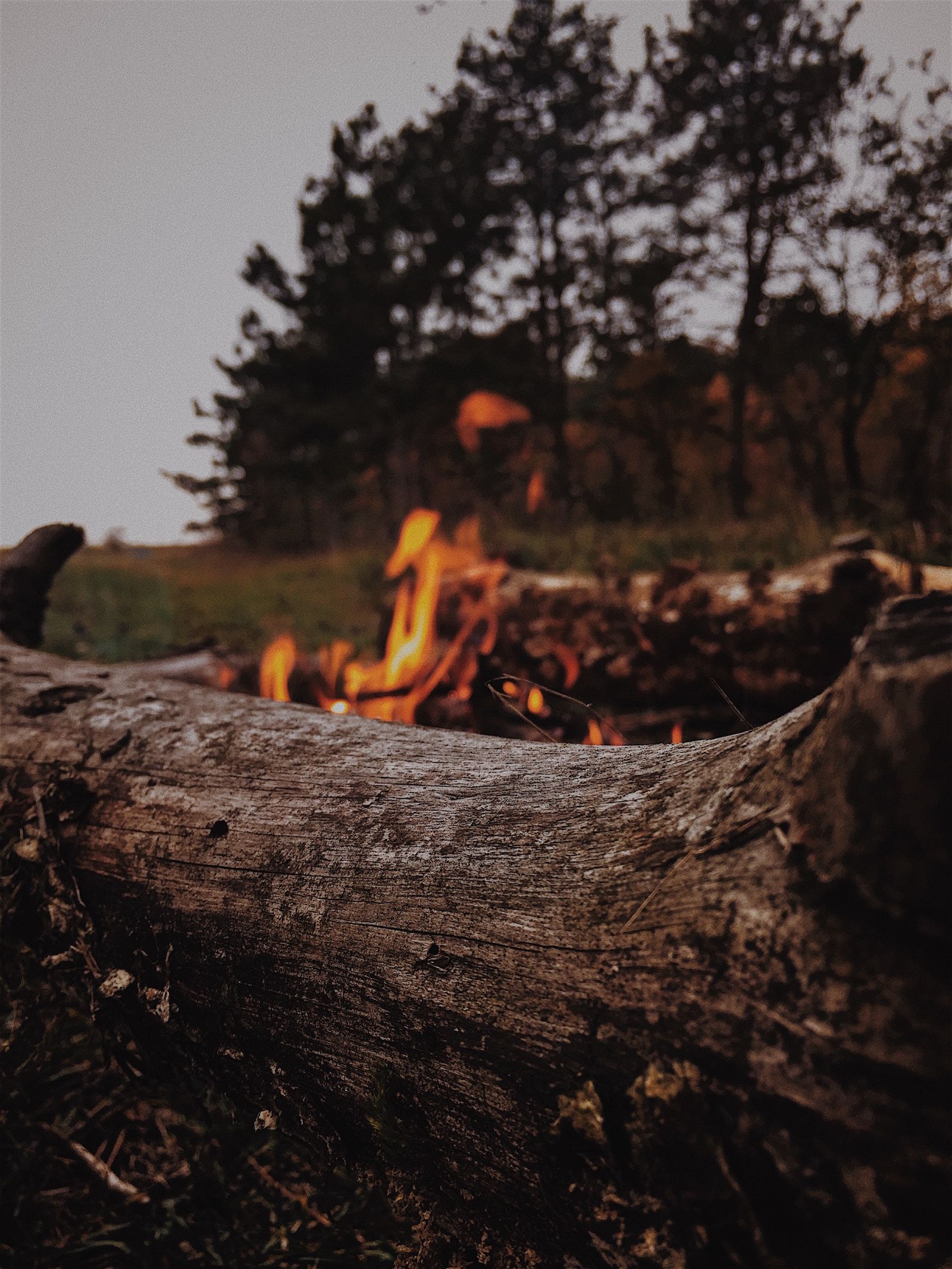 Almos Bechtold | Outdoorsy RV Rental Marketplace