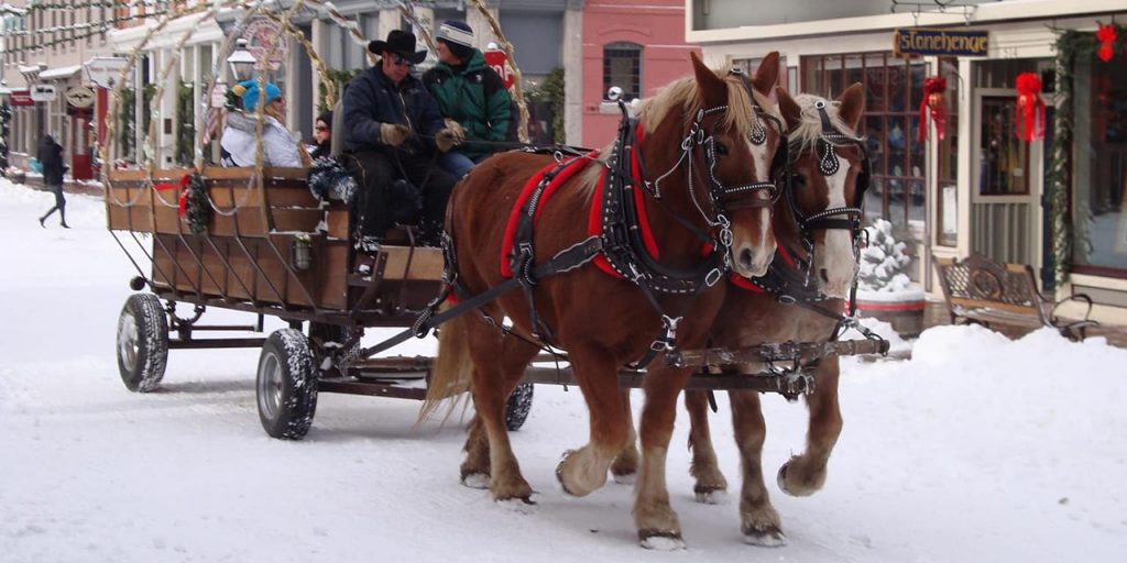 Horse at Christmas market