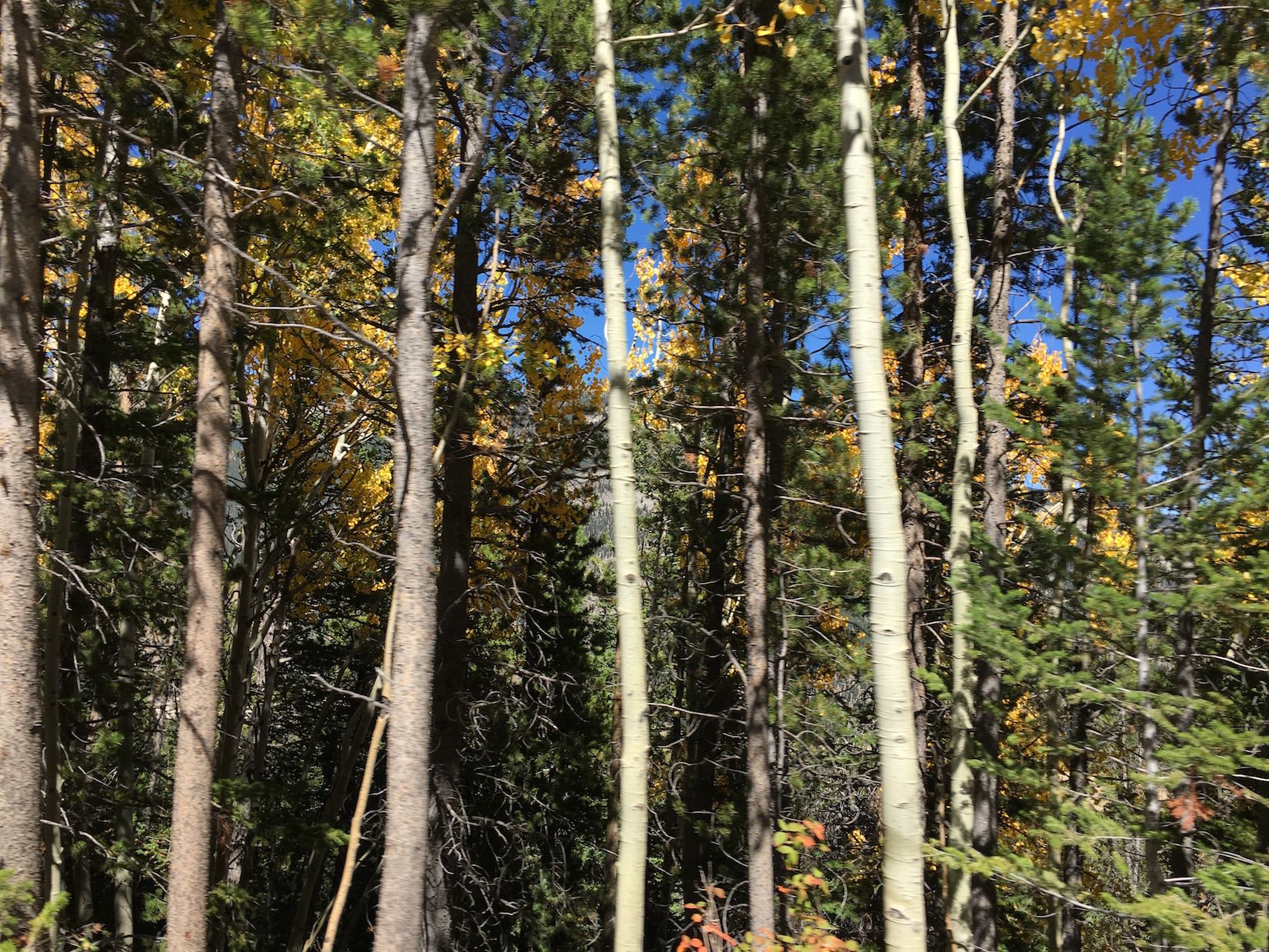 Rocky Mountain National Park, CO | Outdoorsy RV Rental Marketplace