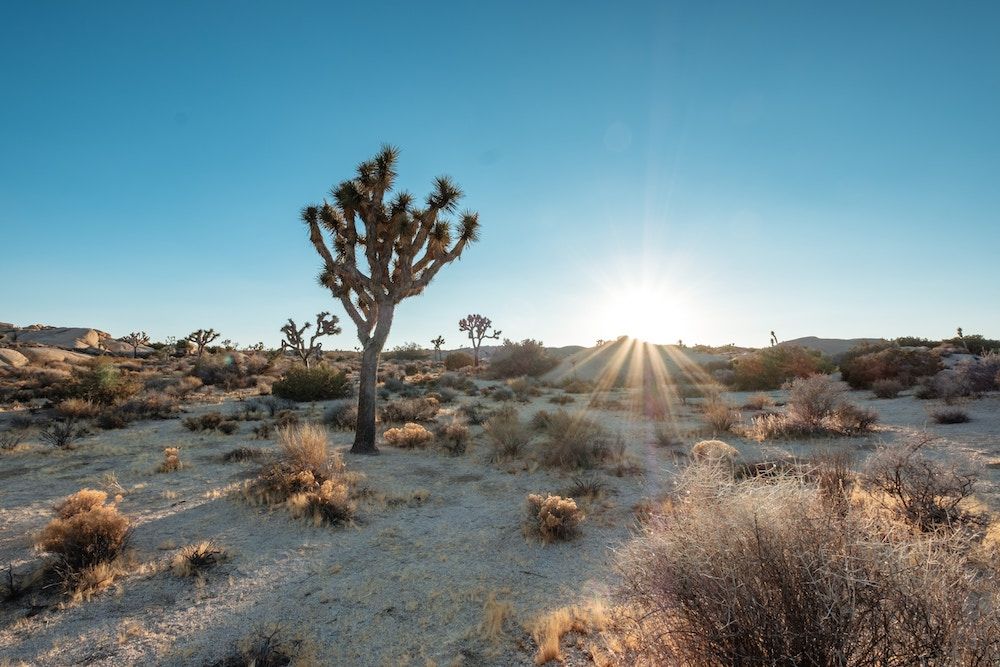 Camping In The Desert | Outdoorsy