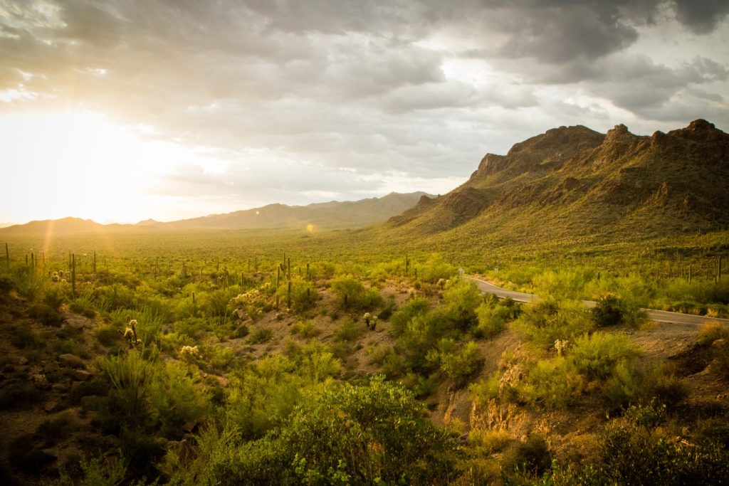 rv park camping near tucson