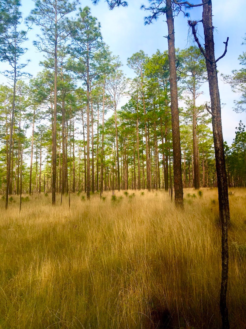Melanie McManus | Outdoorsy