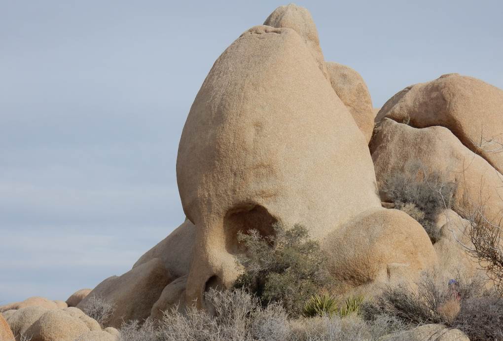 RV Adventures in Joshua Tree National Park / Outdoorsy RV Rental Marketplace