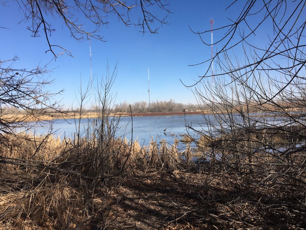 I-20 Wildlife Refuge, Midland, TX | Outdoorsy RV Rental Marketplace