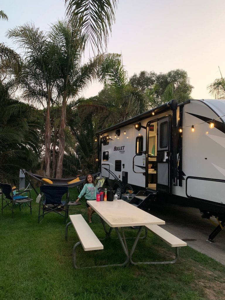 Camper in Palm Trees