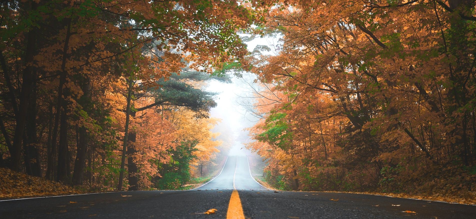 Outdoorsy’s Predictions for Travel in 2024