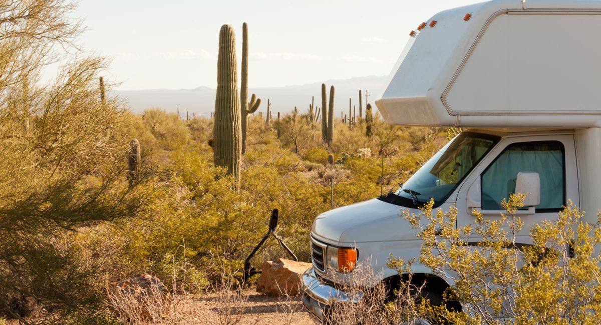 Joshua Tree National Park RV Camping Guide