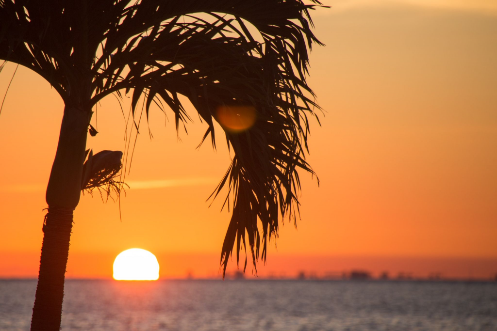 Beach sunset