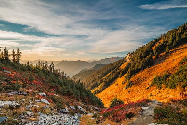 seattle fall foliage