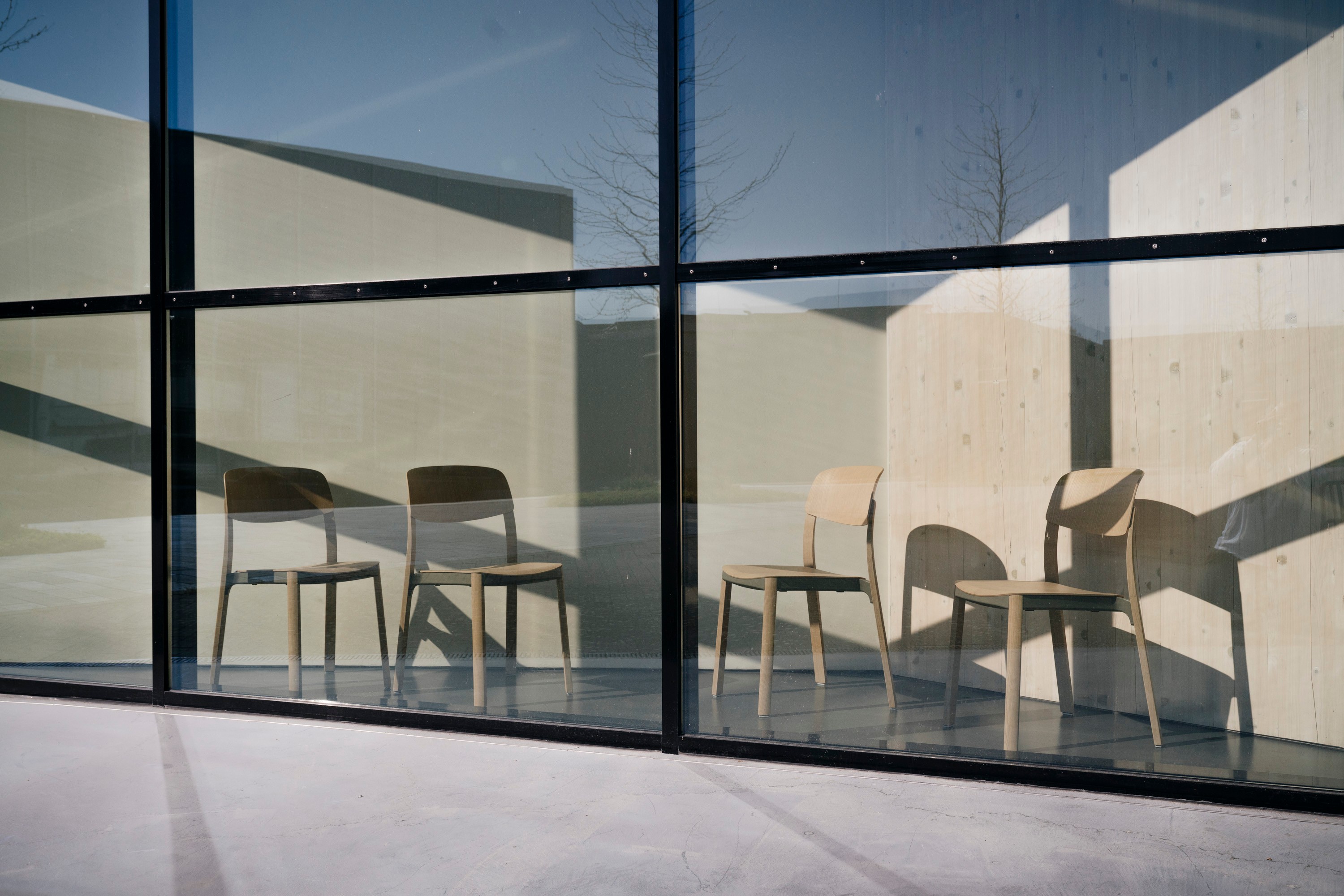 Four minimalist wooden chairs arranged in a row inside a space enclosed by a floor-to-ceiling glass facade with dark metal framing. The chairs cast long shadows across the concrete floor in the bright sunlight. Pale concrete walls and a bare tree are reflected in the glass, blending the interior and exterior into a single geometric composition.