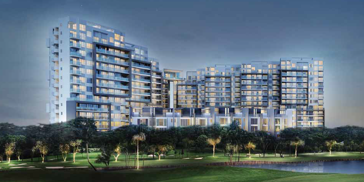 Skies Miltonia main photo