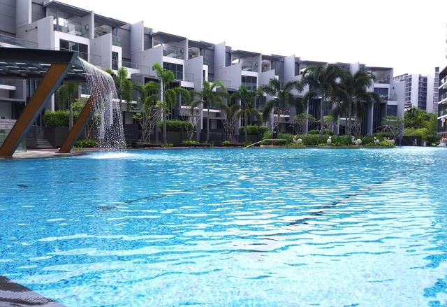 Skies Miltonia interior photo 9