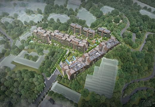 Terra Hill 顶丽峰 photo 21