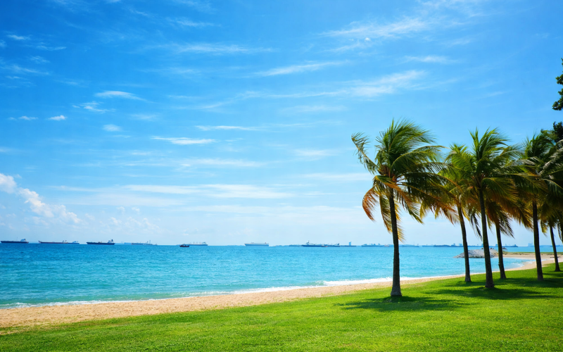 East Coast Park beach and coastline near Vela Bay condo in Bayshore