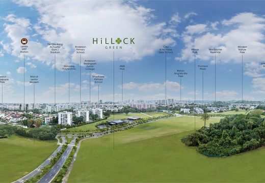 Hillock Green 悦翠轩 photo 19