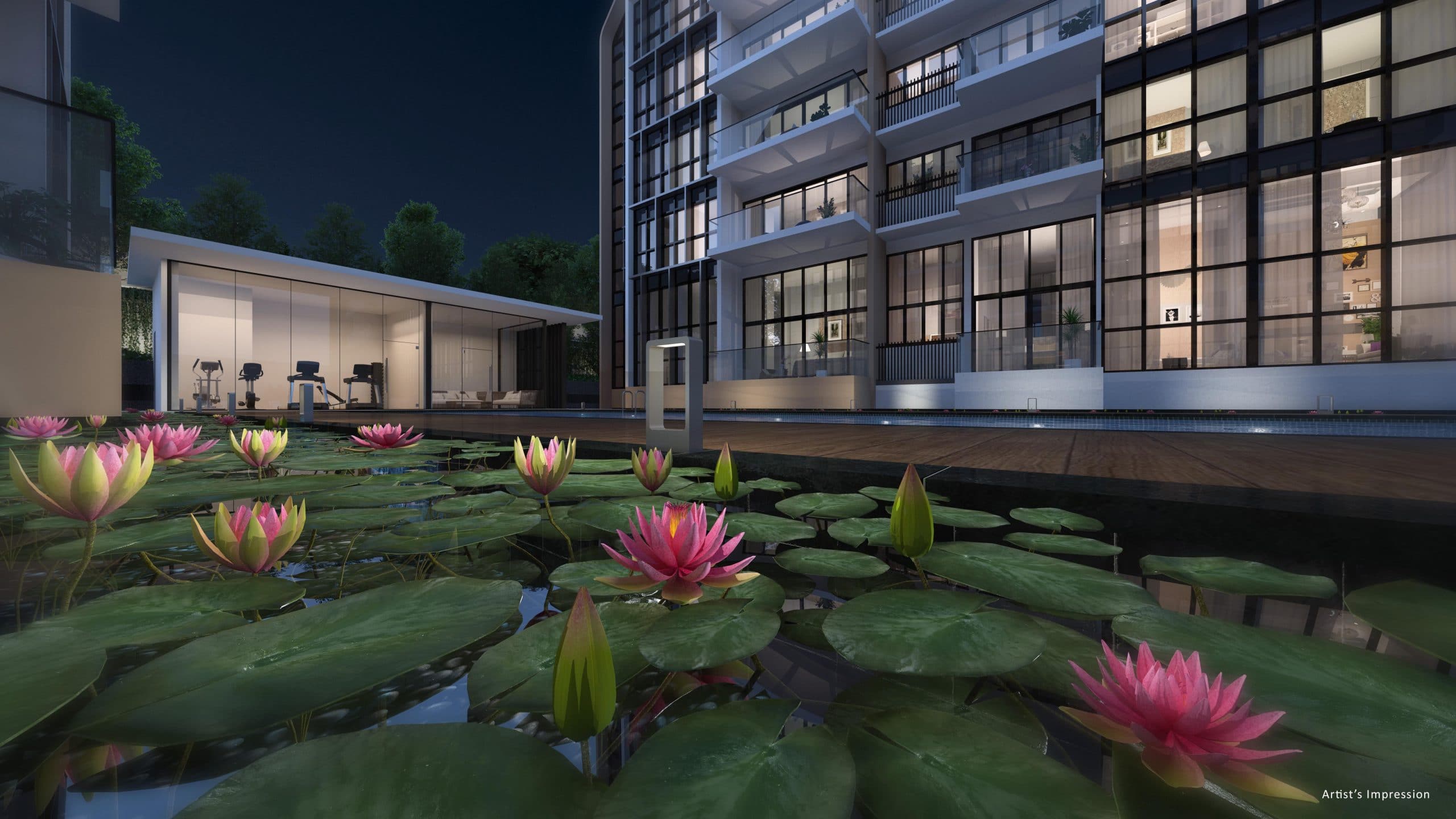 Lily Pond