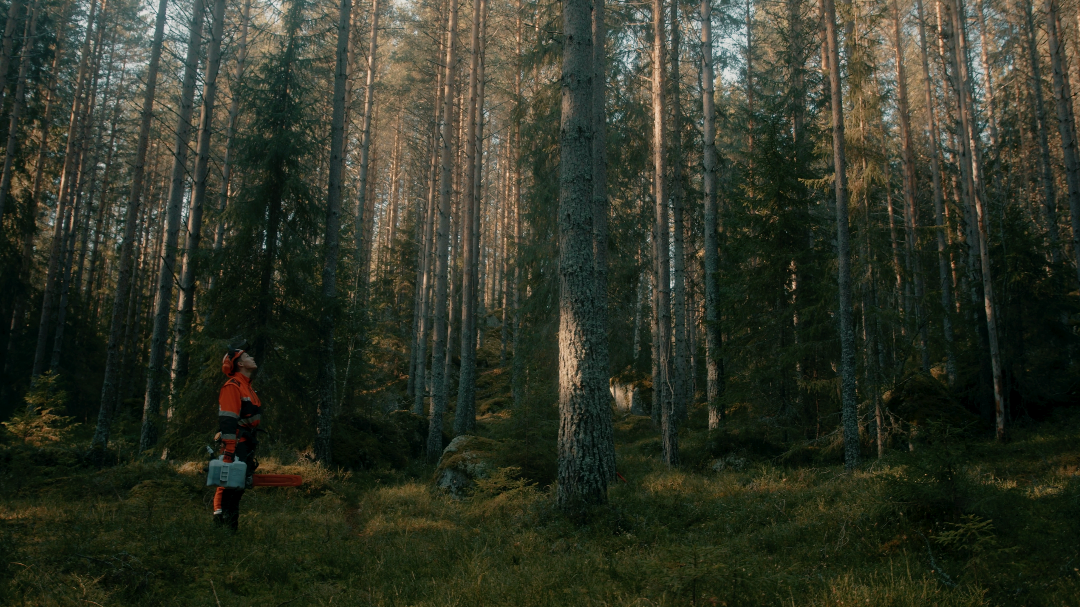 Stihl