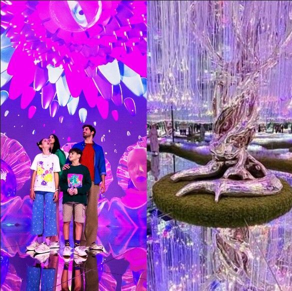 AYA Universe and House of Hype Combo