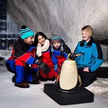 Ski Dubai Tickets
