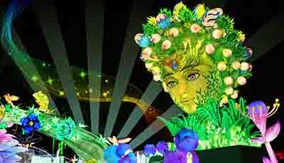 Glow Garden