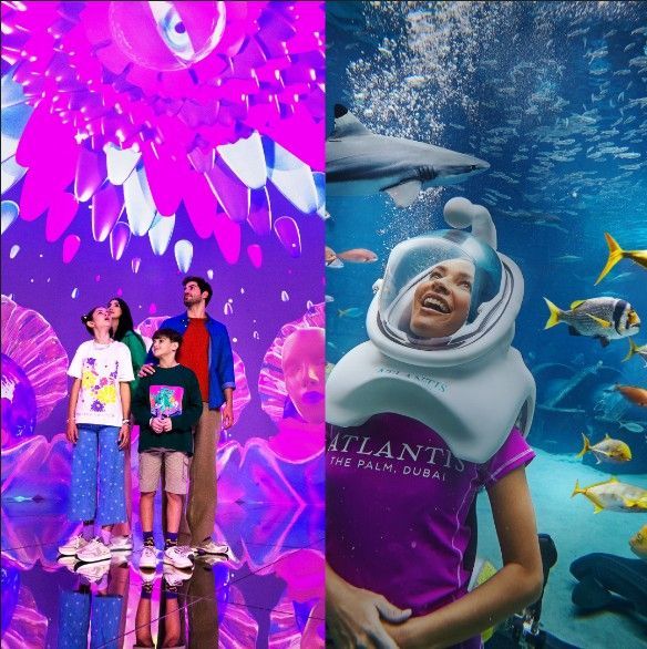 Atlantis Aquaventure and House of Hype Combo