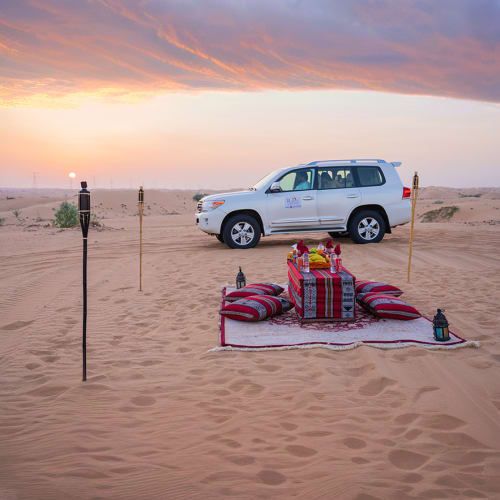 Overnight Safari