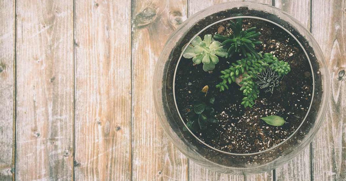 The Best Small Investments You Can Make In The UK