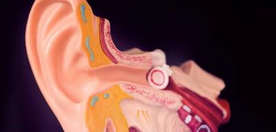 nervio auditivo dañado