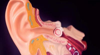nervio auditivo dañado