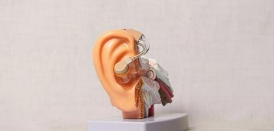 Colesteatoma en el oido medio