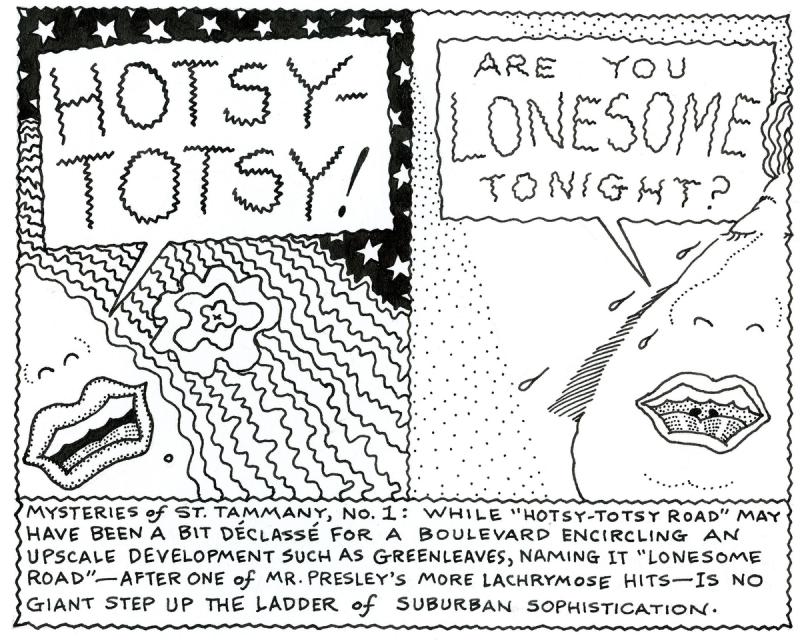 "Hotsy-Totsy Road" May Have Been A Bit Declasse' For A Boulevard Encircling An Upscale Developent Such As Greenleaves
