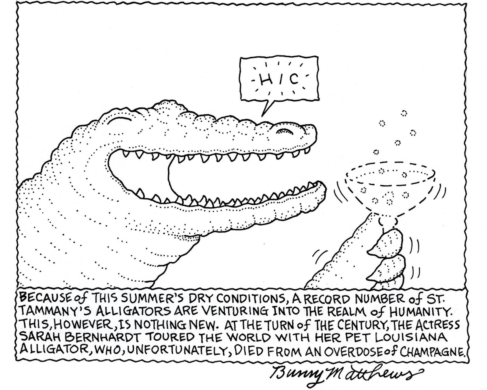 A Record Number of St. Tammany's Alligators Are Venturing Into The Realm of Humanity.
