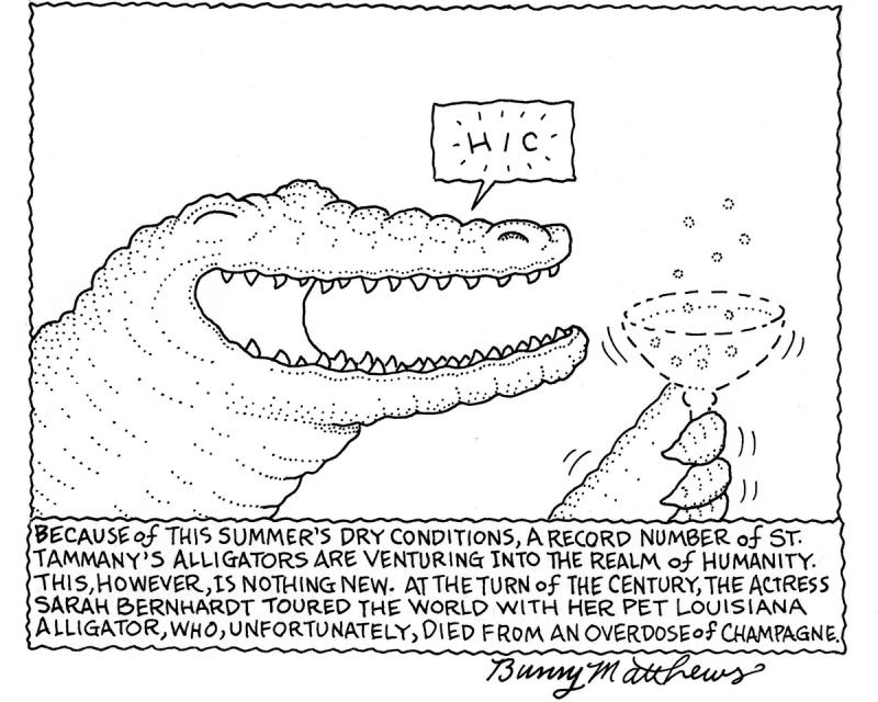 A Record Number of St. Tammany's Alligators Are Venturing Into The Realm of Humanity.