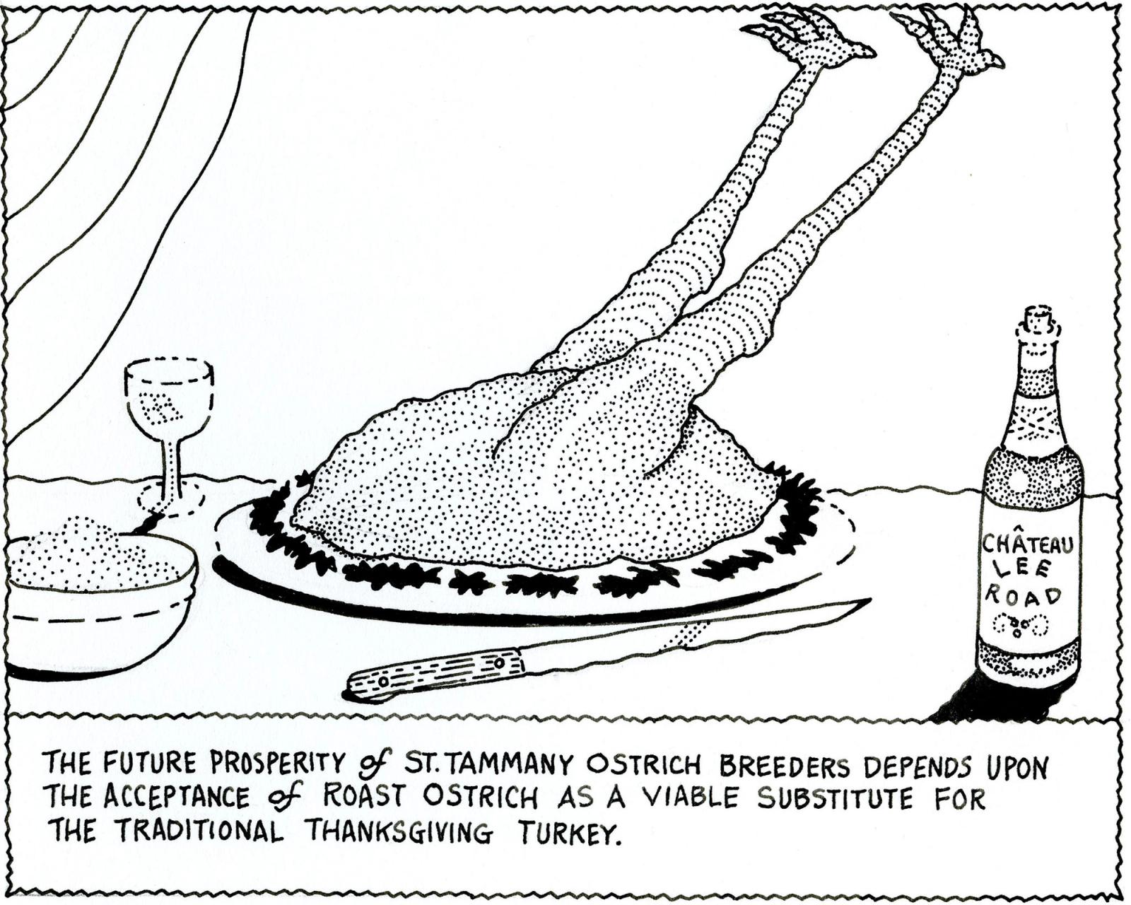 The Future Prosperity of St. Tammany Ostrich Breeders