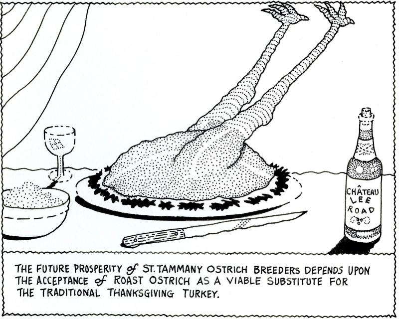 The Future Prosperity of St. Tammany Ostrich Breeders