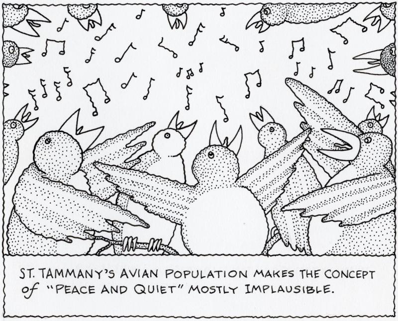 St. Tammany's Avian population makes the concept of "Peace and Quiet"