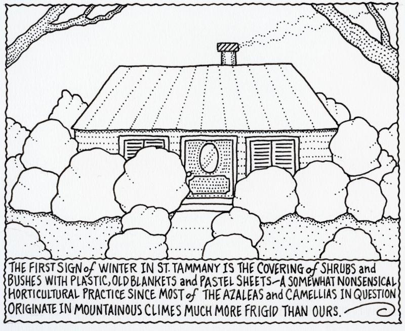 The Covering of Shrubs and Bushes With Plastic