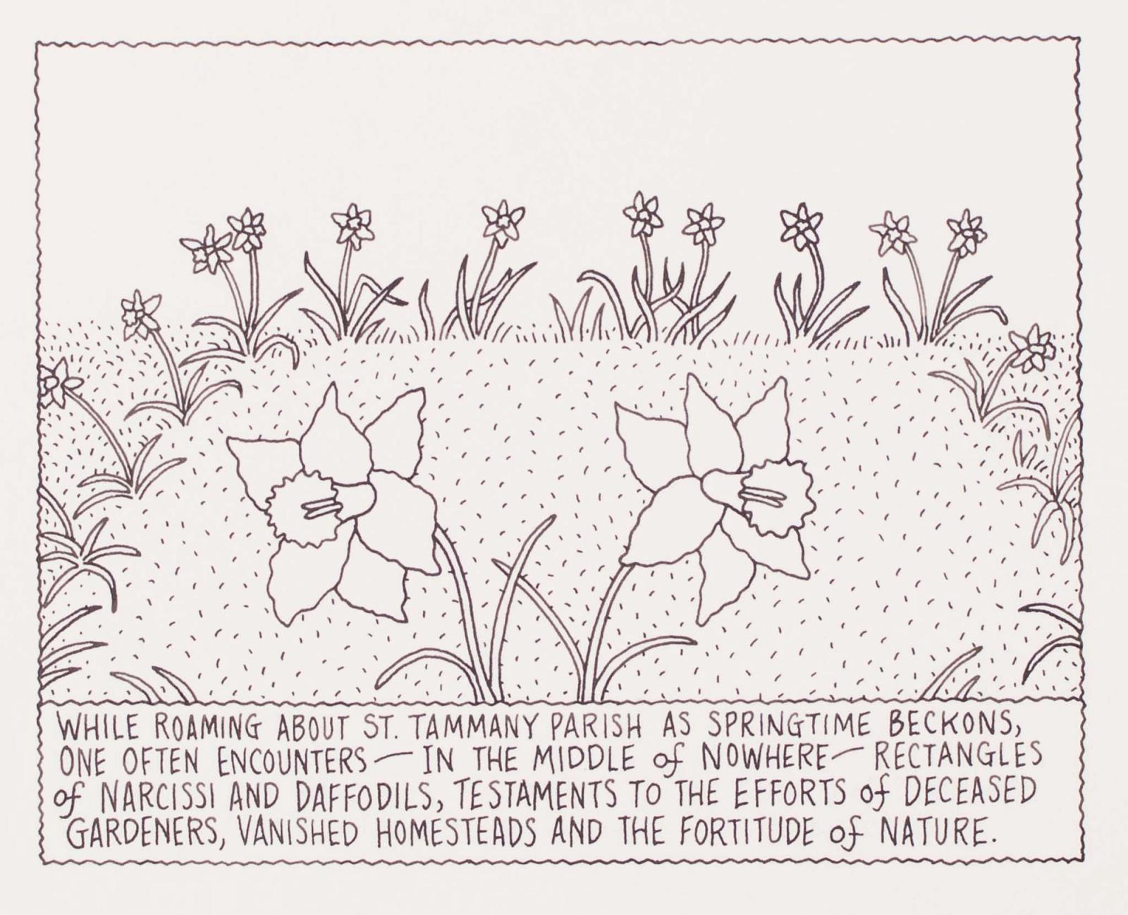 One Often Encounters - In The Middle of Nowhere - Rectangles of Narcissi