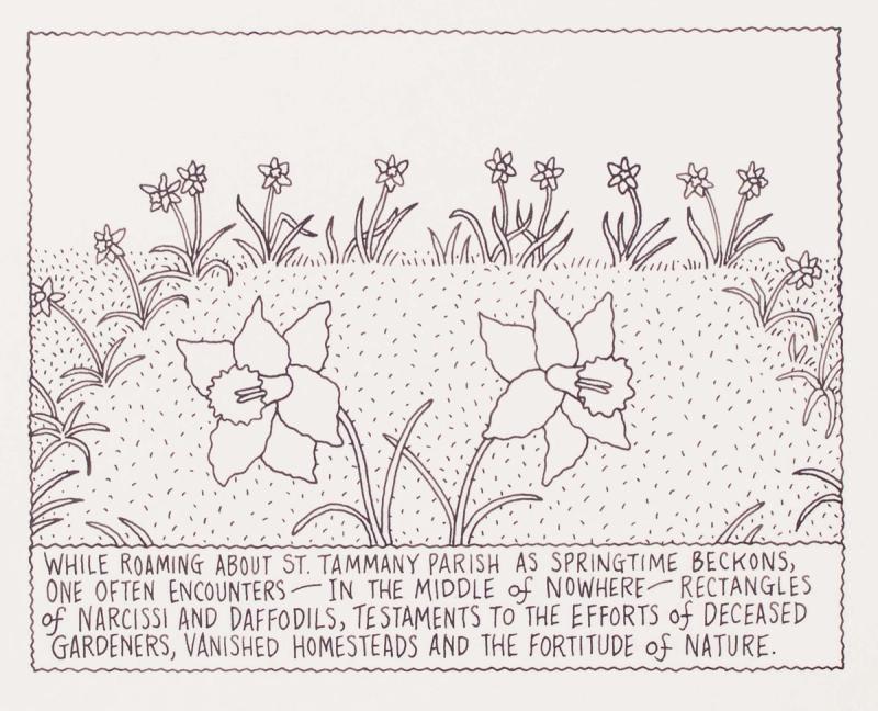 One Often Encounters - In The Middle of Nowhere - Rectangles of Narcissi