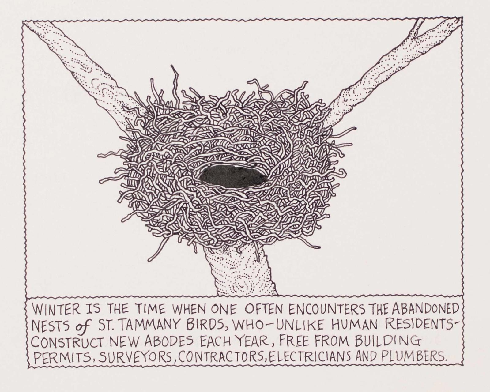 Winter is the time when one often encounters the abandoned nests