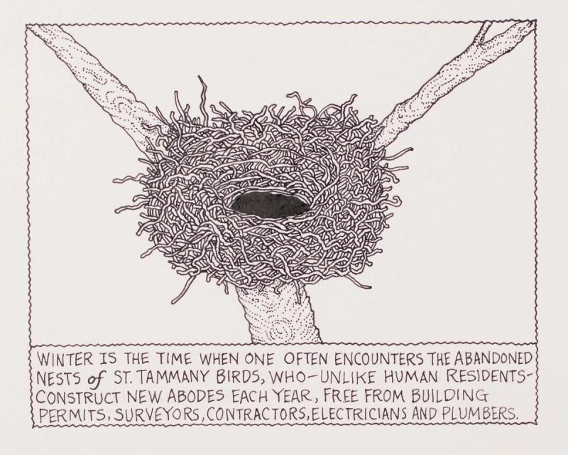 Winter is the time when one often encounters the abandoned nests
