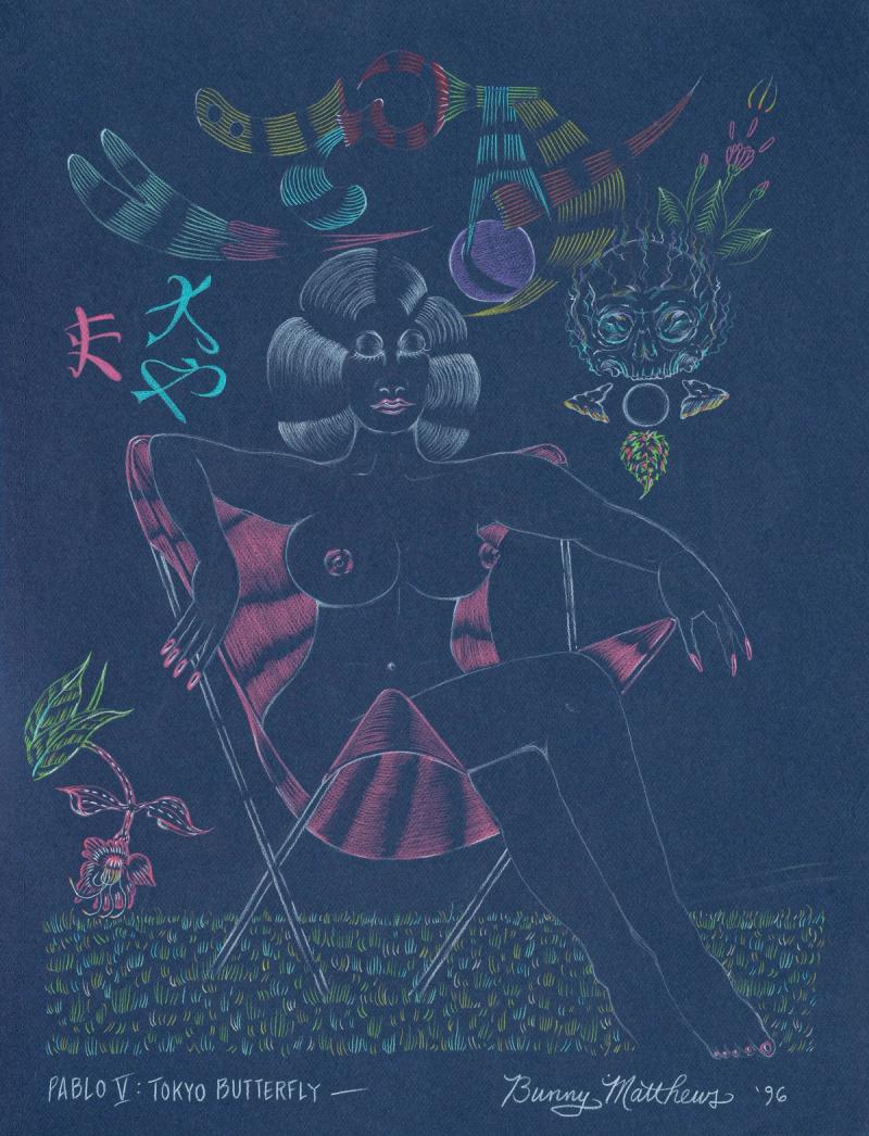 Pablo Picasso, Tokyo Butterfly