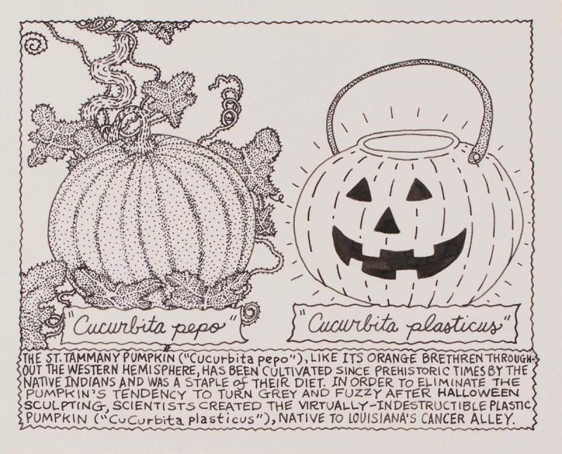 The St. Tammany Pumpkin ("Cucurbita pepo")