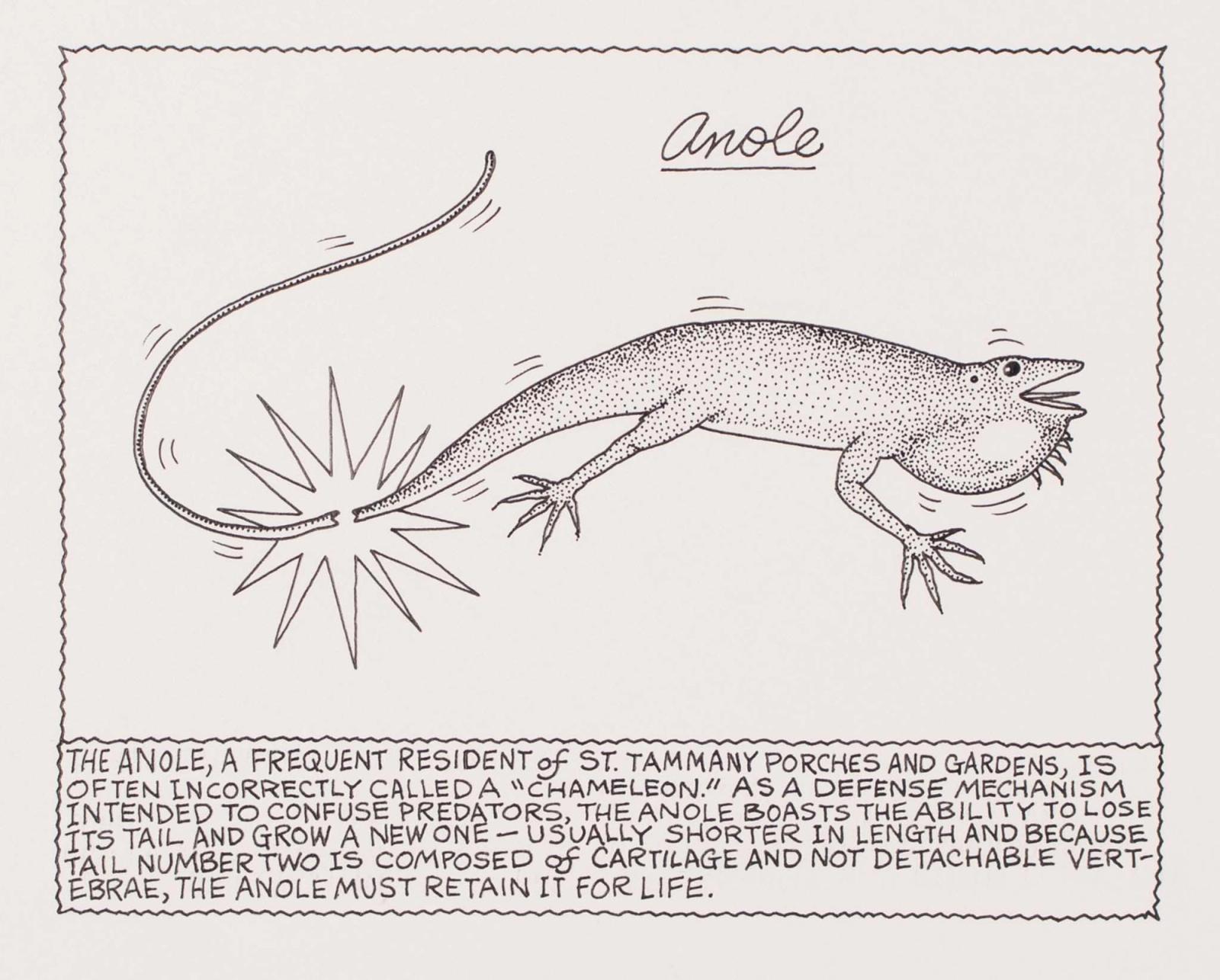 A Frequent Resident of St. Tammany Porches And Gardens