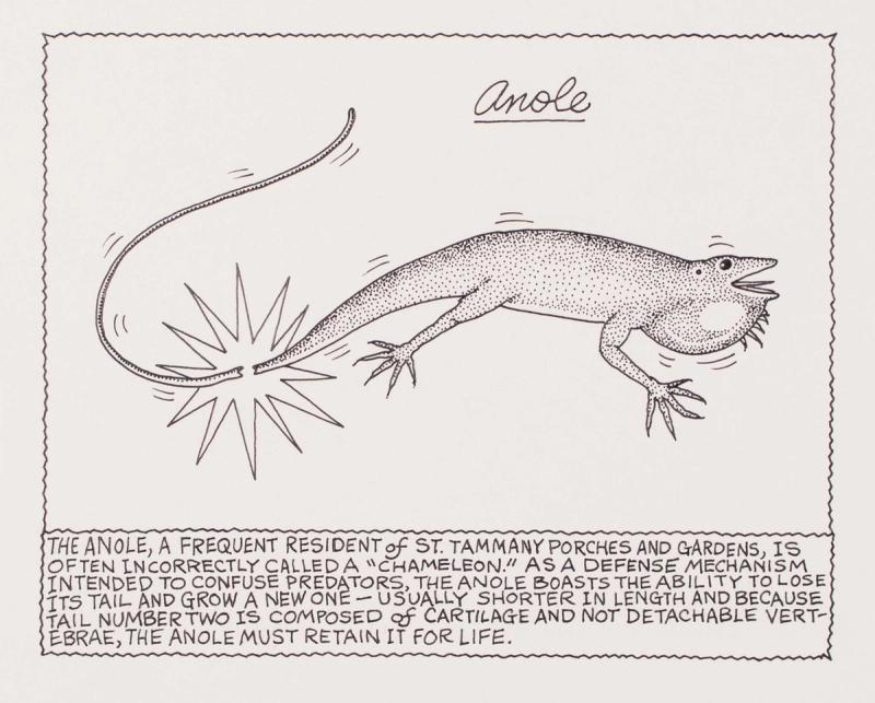 A Frequent Resident of St. Tammany Porches And Gardens